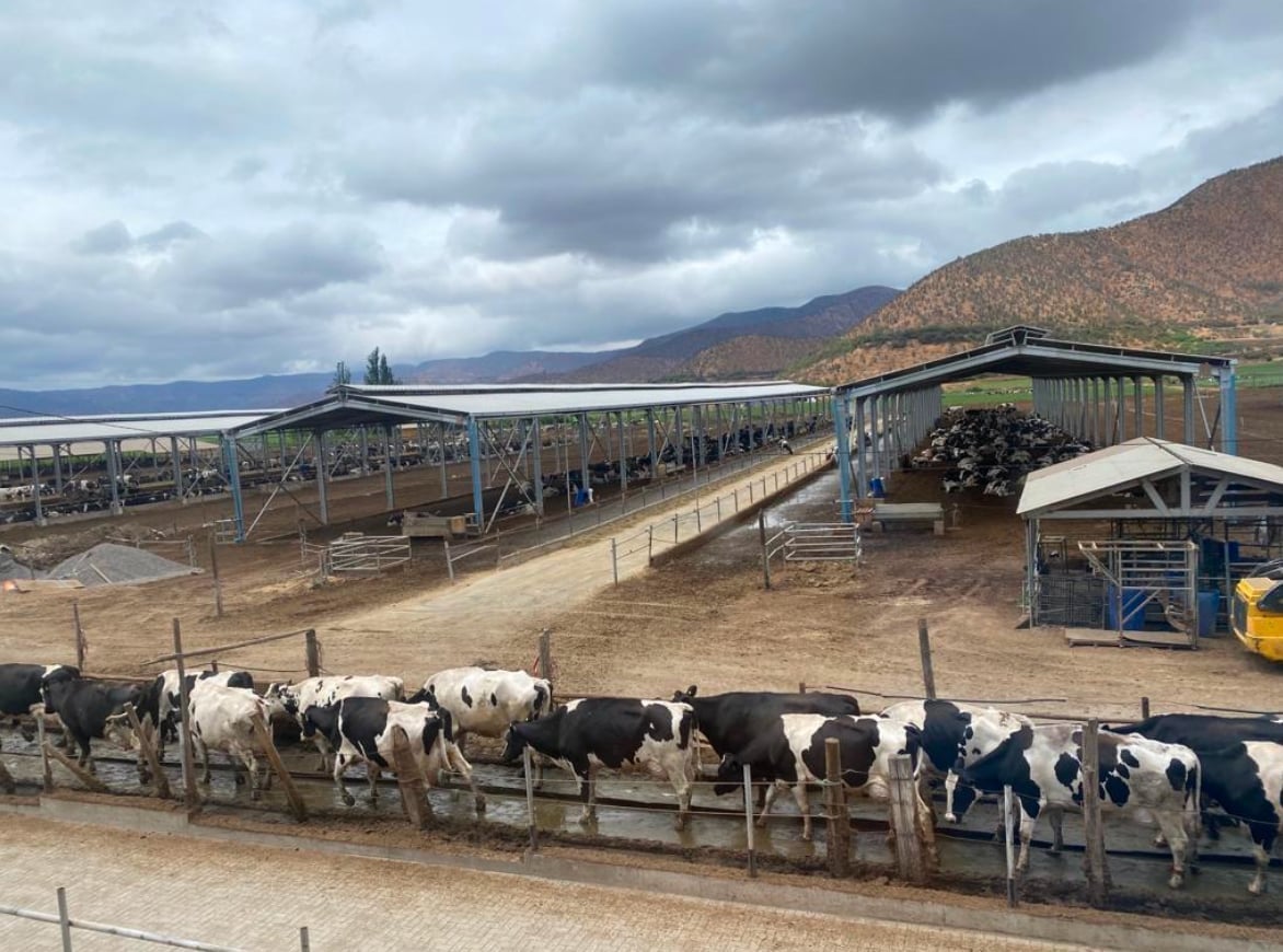 Lechería Santa Sara